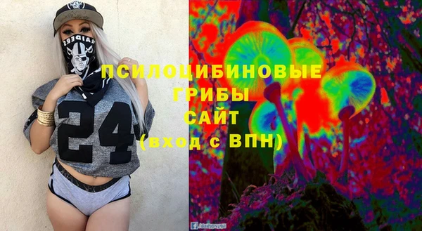 стафф Козельск