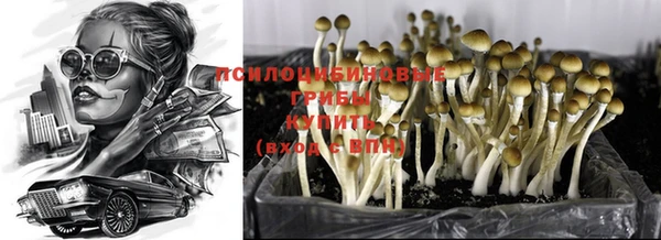 apvp Кодинск